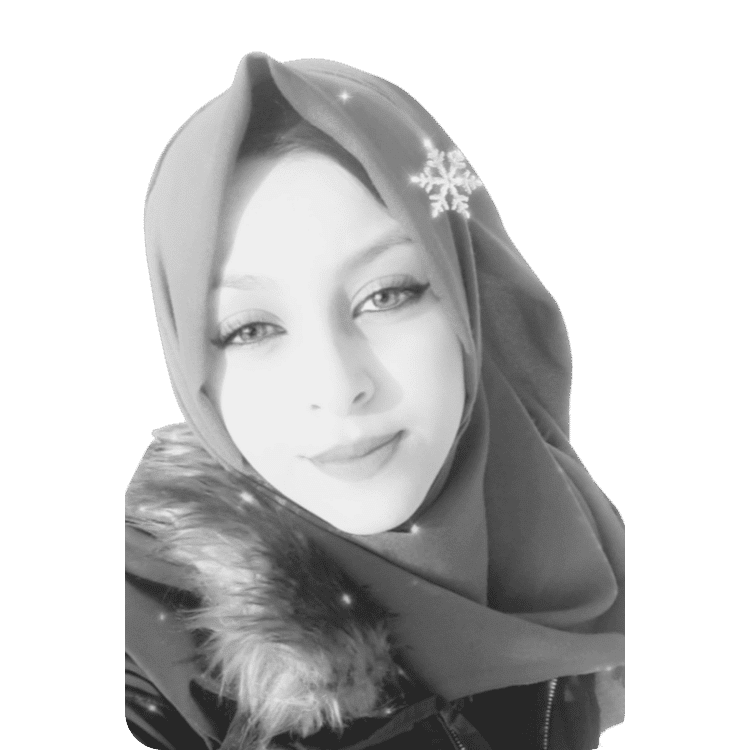 نارمين السويسي